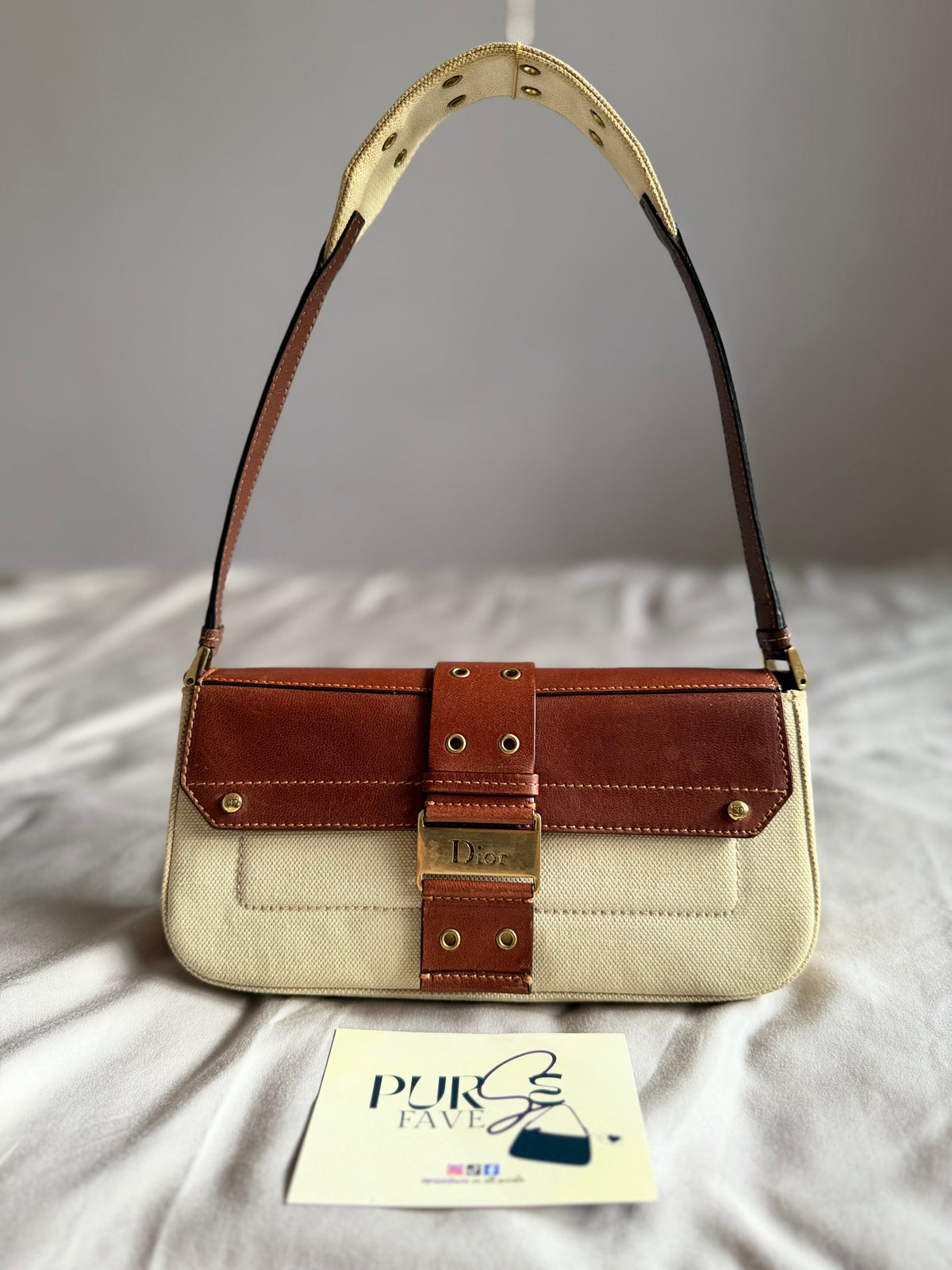 Dior Street Chic Brown Canvas