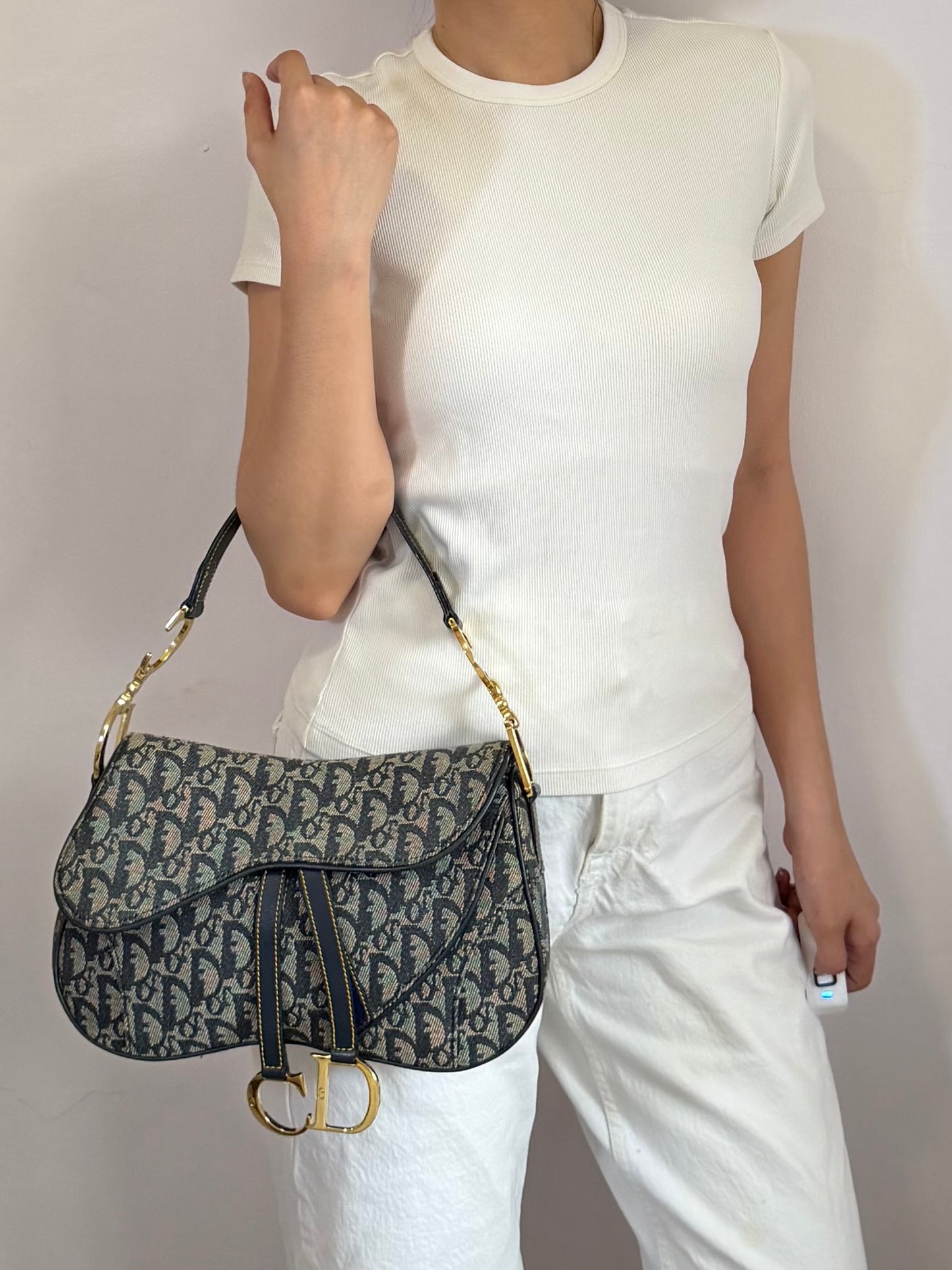 Authentic Vintage Christian Dior by John Galliano Navy Trotter Oblique Canvas Double Saddle Bag